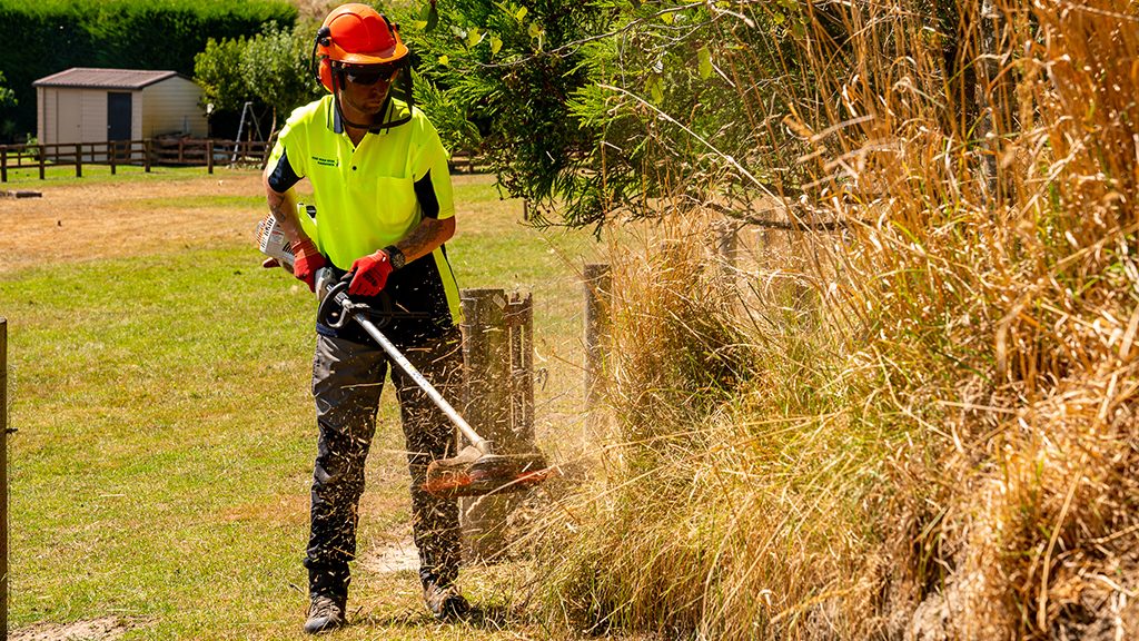 The Mountains The Mad Keen Gardener